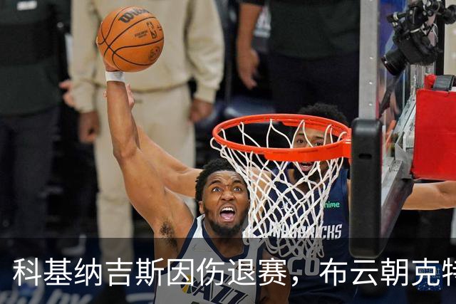 科基纳吉斯因伤退赛，布云朝克特意外获得美网正赛资格